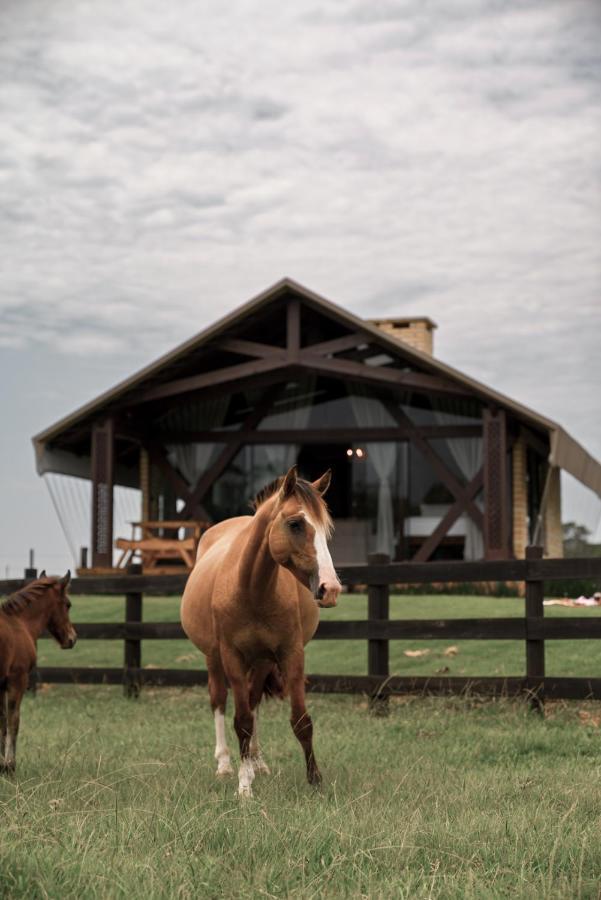 Campo de lujo Vicenca Glamping *